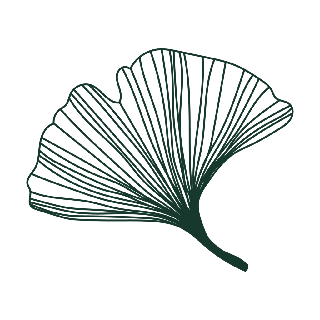 Ginko bilboa blad - favikon for Psykolog Mette Kyung